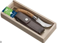 Gombászni csak akkor indulj, ha van nálad gombászkés 