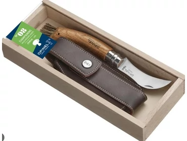 Gombászni csak akkor indulj, ha van nálad gombászkés 