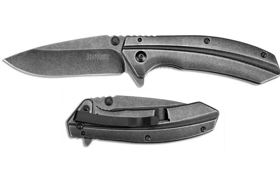 Kershaw Filter zsebkés