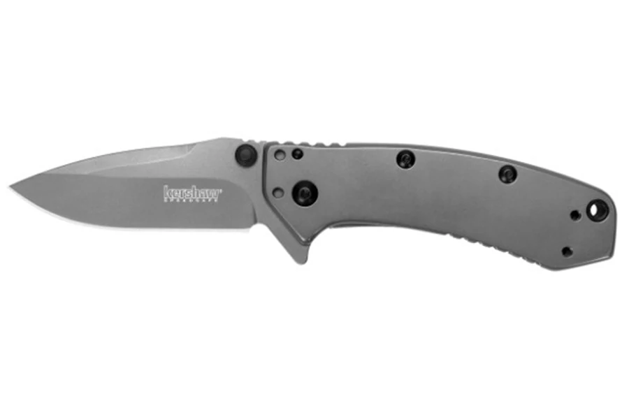 Kershaw Cryo zsebkés